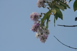 img_4066.jpg.jpg