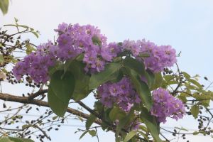 img_4067.jpg.jpg