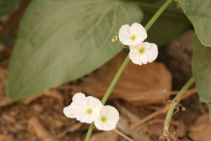 img_4069.jpg.jpg