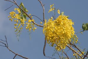 img_4074.jpg.jpg