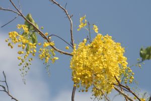 img_4075.jpg.jpg