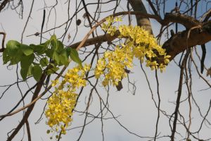 img_4076.jpg.jpg