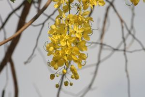 img_4077.jpg.jpg