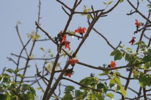 img_4079.jpg.jpg