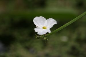img_4082.jpg.jpg