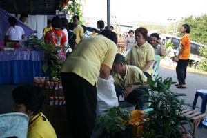 img_5255.jpg.jpg