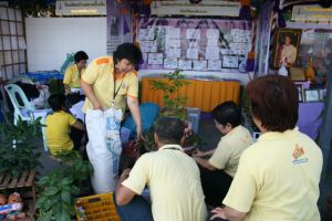 img_5259.jpg.jpg