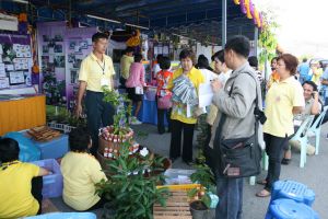 img_5266.jpg.jpg