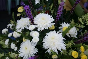 img_5308.jpg.jpg
