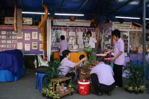 img_5329.jpg.jpg