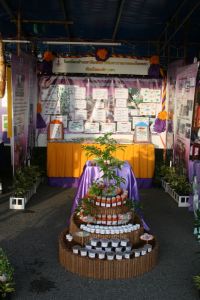 img_5350.jpg.jpg