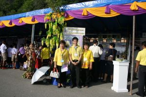 img_5355.jpg.jpg