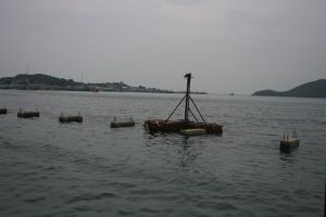 img_5492.jpg.jpg
