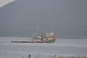 img_5598.jpg.jpg