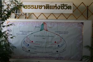 img_5742.jpg.jpg