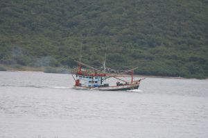 img_5771.jpg.jpg