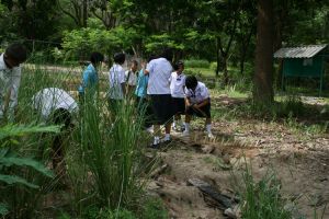img_4307.jpg.jpg