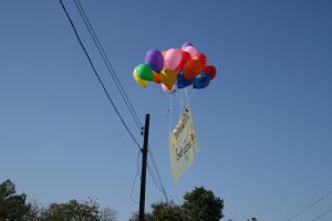 img_2795.jpg.jpg