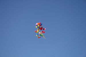 img_2797.jpg.jpg