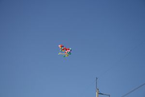 img_2798.jpg.jpg
