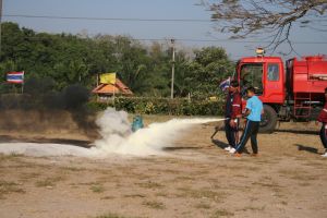 img_2810.jpg.jpg