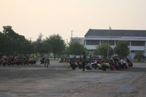 _mg_6070.jpg.jpg