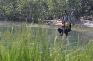 _mg_6245.jpg.jpg