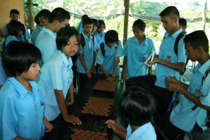img_4433.jpg.jpg
