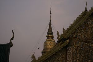 img_2980.jpg.jpg