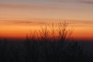 img_3022.jpg.jpg