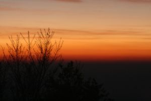img_3023.jpg.jpg