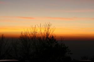 img_3032.jpg.jpg