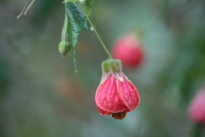 img_3069.jpg.jpg
