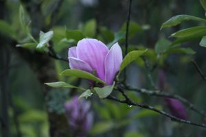 img_3072.jpg.jpg