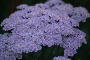 img_3103.jpg.jpg