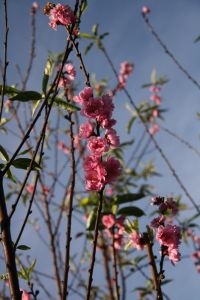img_3126.jpg.jpg