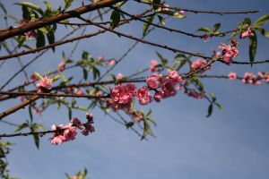 img_3127.jpg.jpg