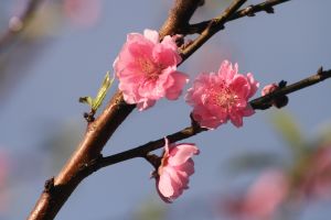 img_3128.jpg.jpg