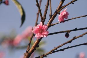 img_3130.jpg.jpg