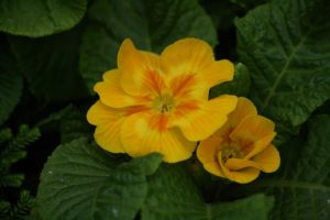 img_3139.jpg.jpg