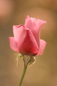 img_3163.jpg.jpg