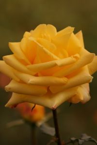 img_3164.jpg.jpg