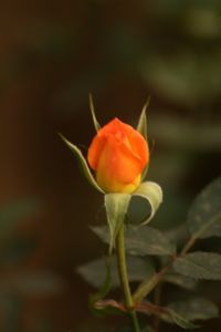 img_3165.jpg.jpg