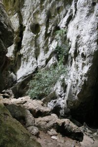_MG_1943.JPG