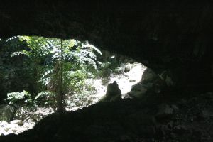 _MG_1957.jpg