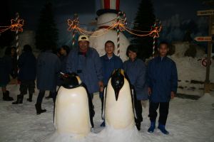 IMG_7705.JPG.JPG