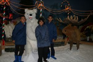 IMG_7708.JPG.JPG