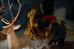 IMG_7714.JPG.JPG