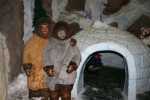 IMG_7716.JPG.JPG