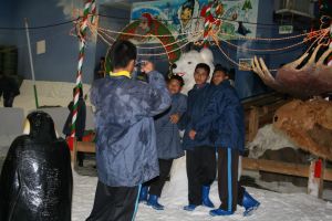 IMG_7717.JPG.JPG